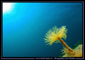 Mediterranean Atmosphere... :O)... by Michel Lonfat 